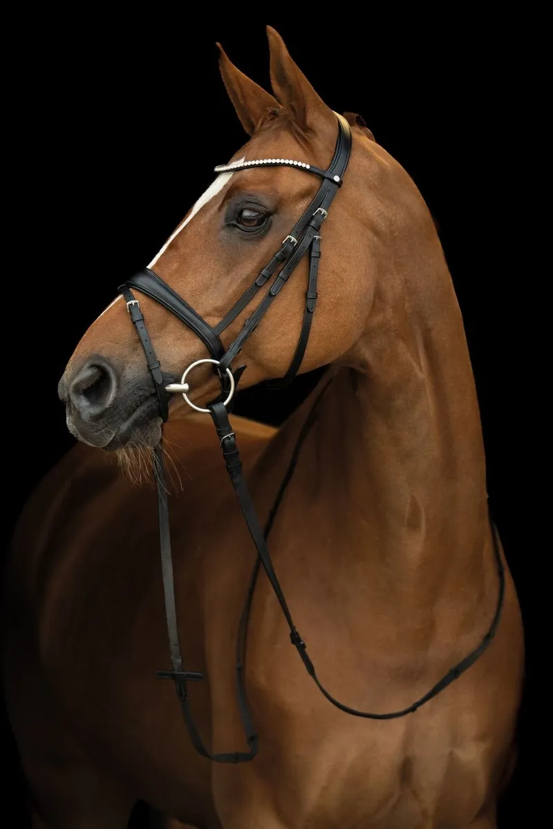 New Melinda Bridle / with tags - Image 2