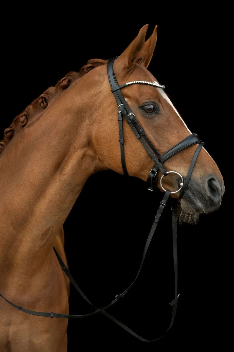 New Melinda Bridle / with tags - Image 3