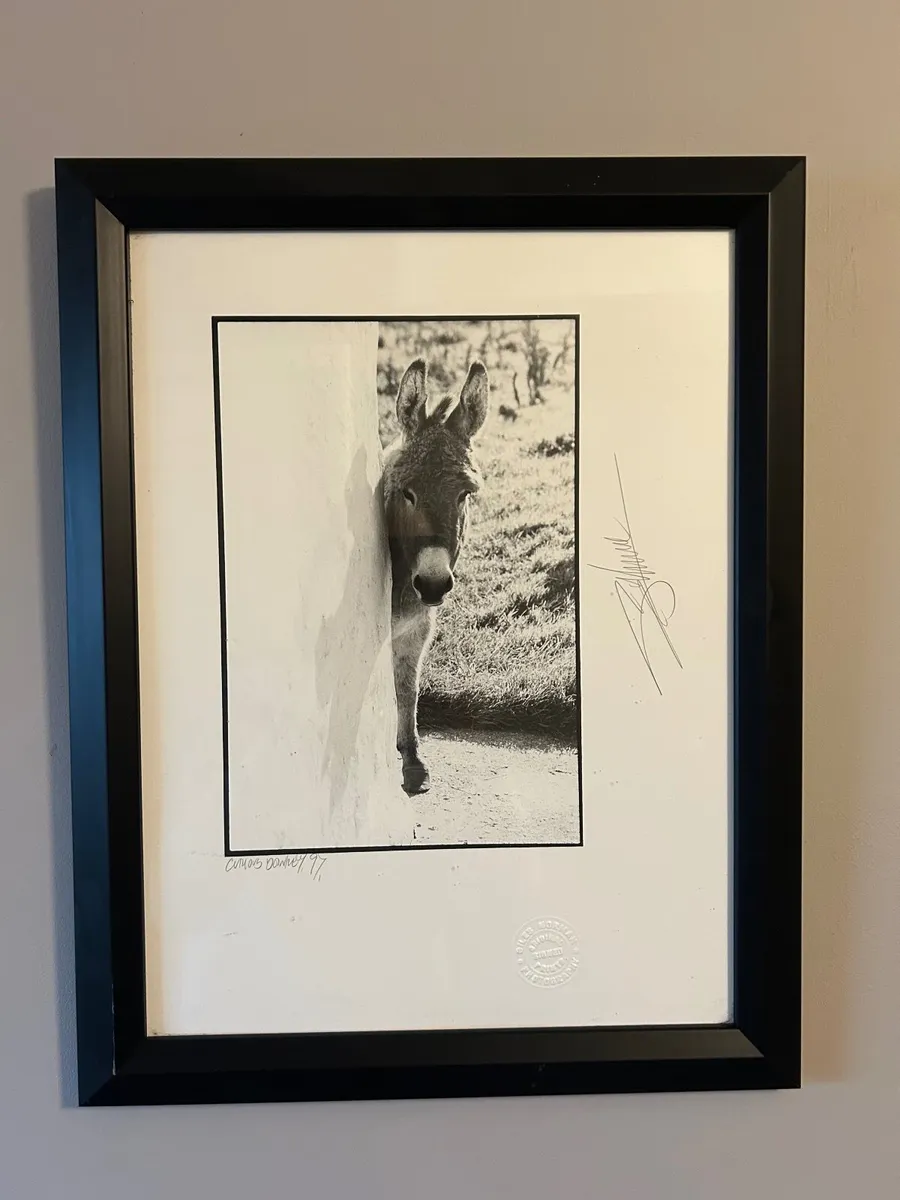 Giles Norman framed prints - Image 2