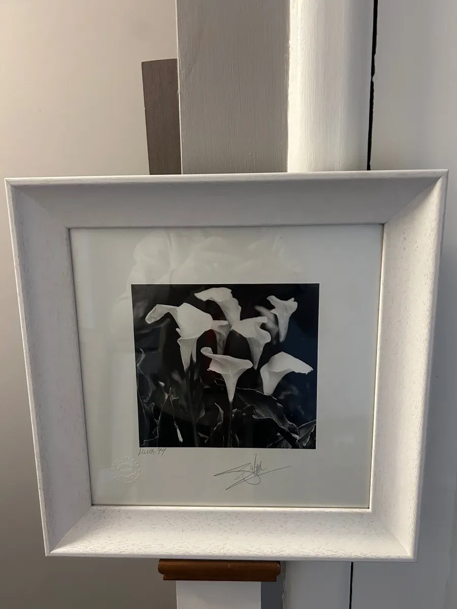 Giles Norman framed prints - Image 3