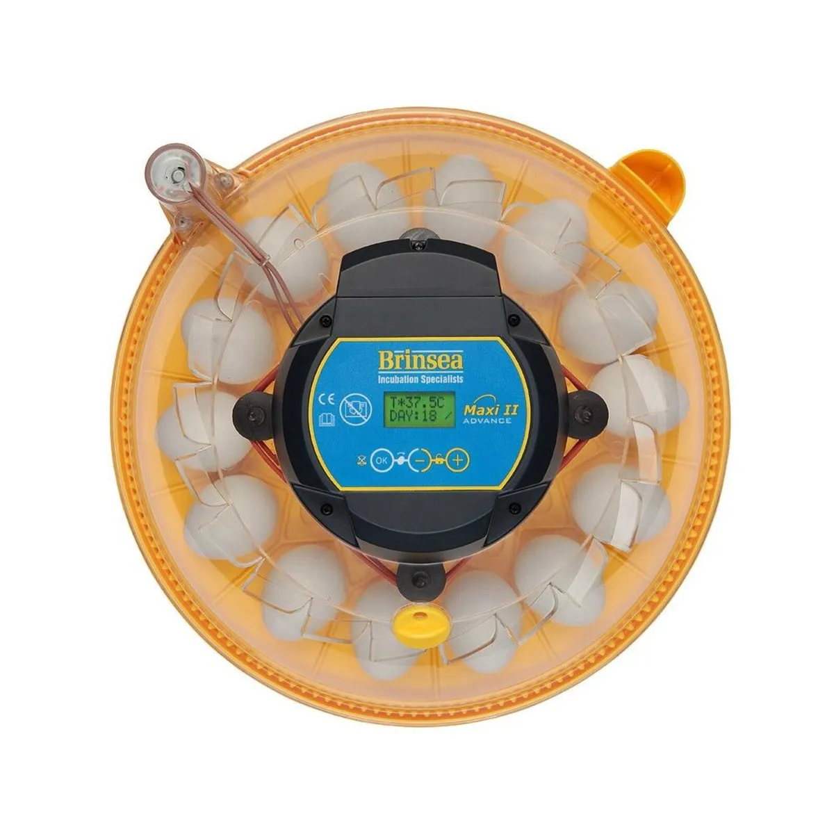 Brinsea Maxi 24 Advance Incubators - 3 Yr Warranty - Image 3