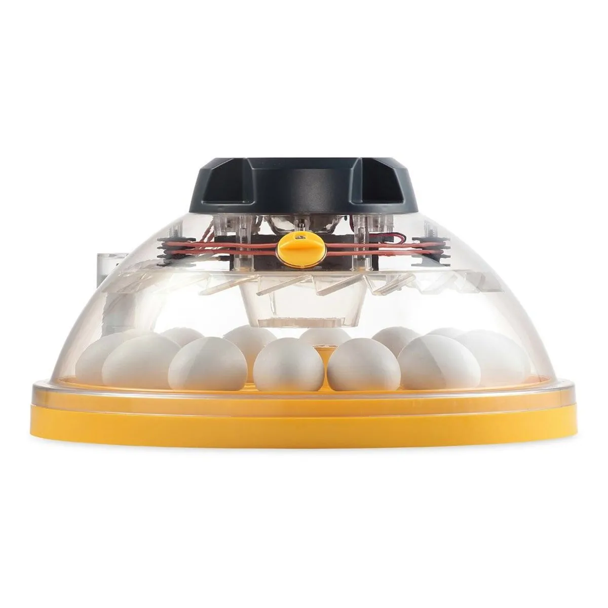 Brinsea Maxi 24 Advance Incubators - 3 Yr Warranty - Image 2