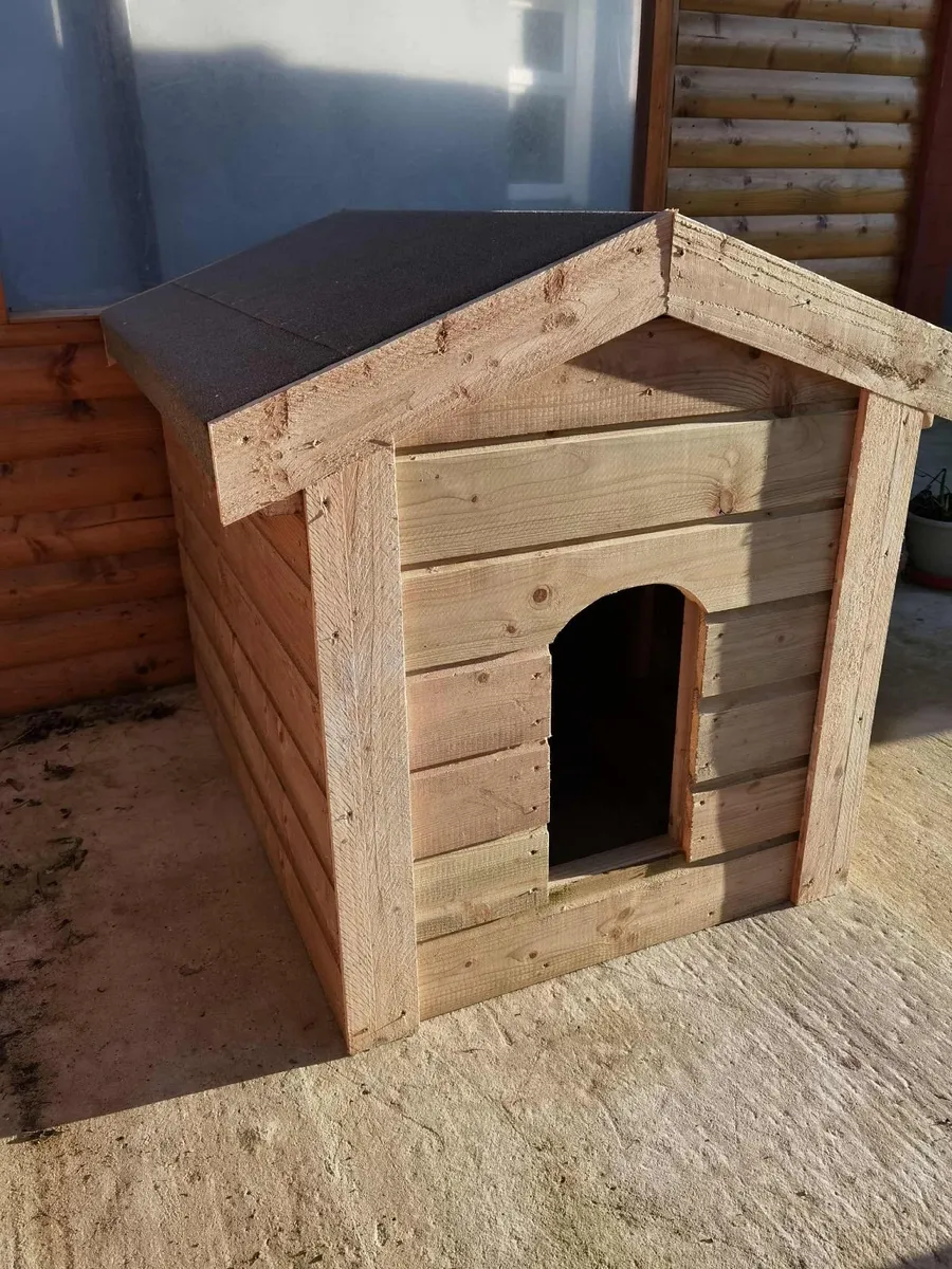 For sale /large size - Image 2