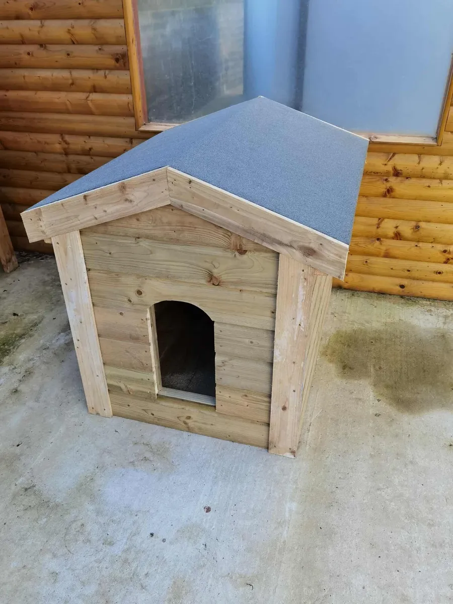 For sale /large size - Image 3