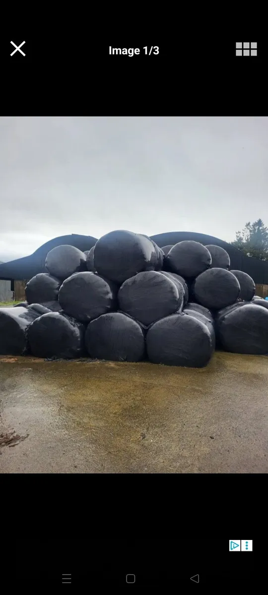 Silage bales