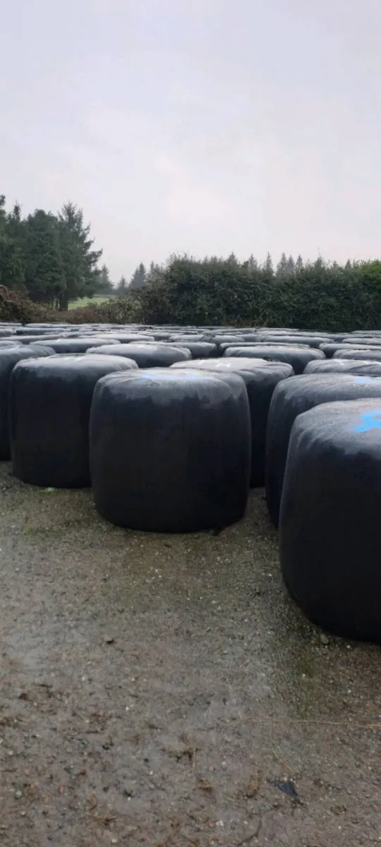 Silage Bales - Image 1