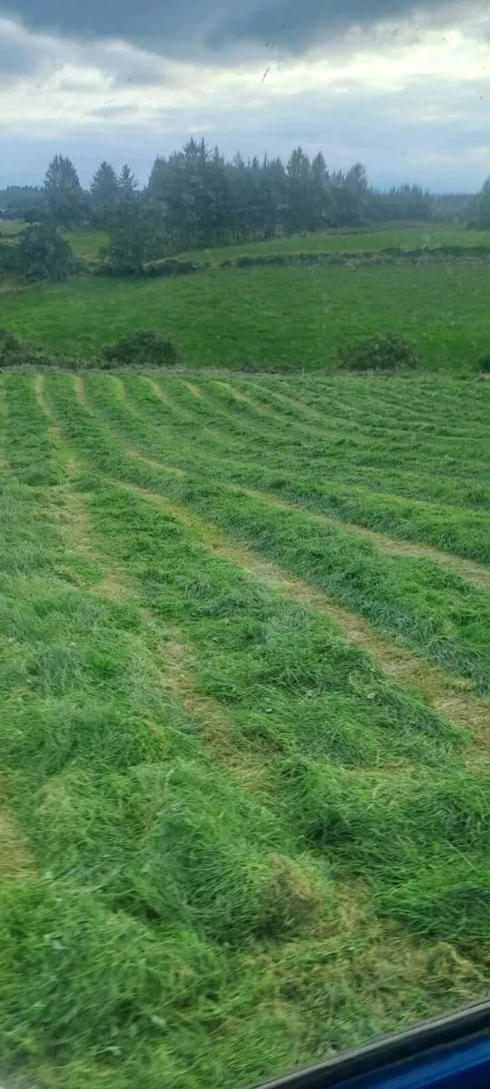 Silage Bales - Image 3