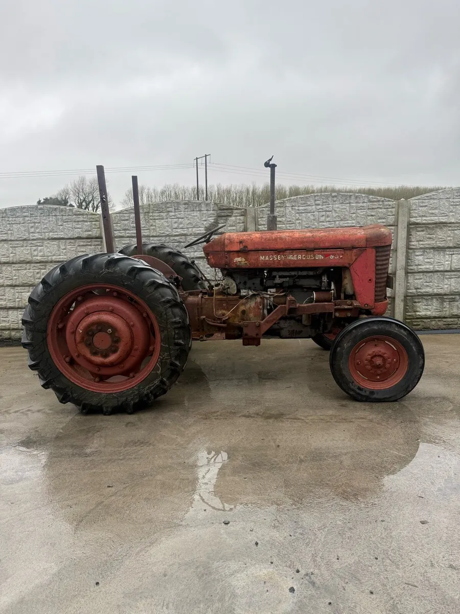 Massey Ferguson 65 c/w loader - Image 1