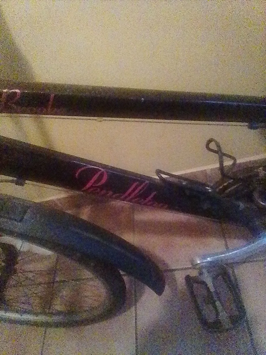 FREE Bike Brooke Pendleton - Image 1