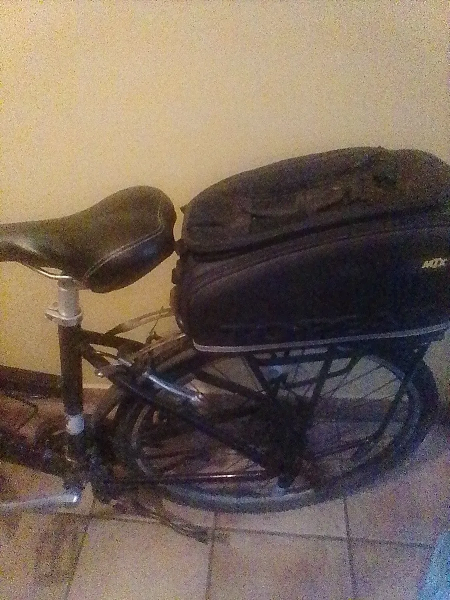 FREE Bike Brooke Pendleton - Image 2