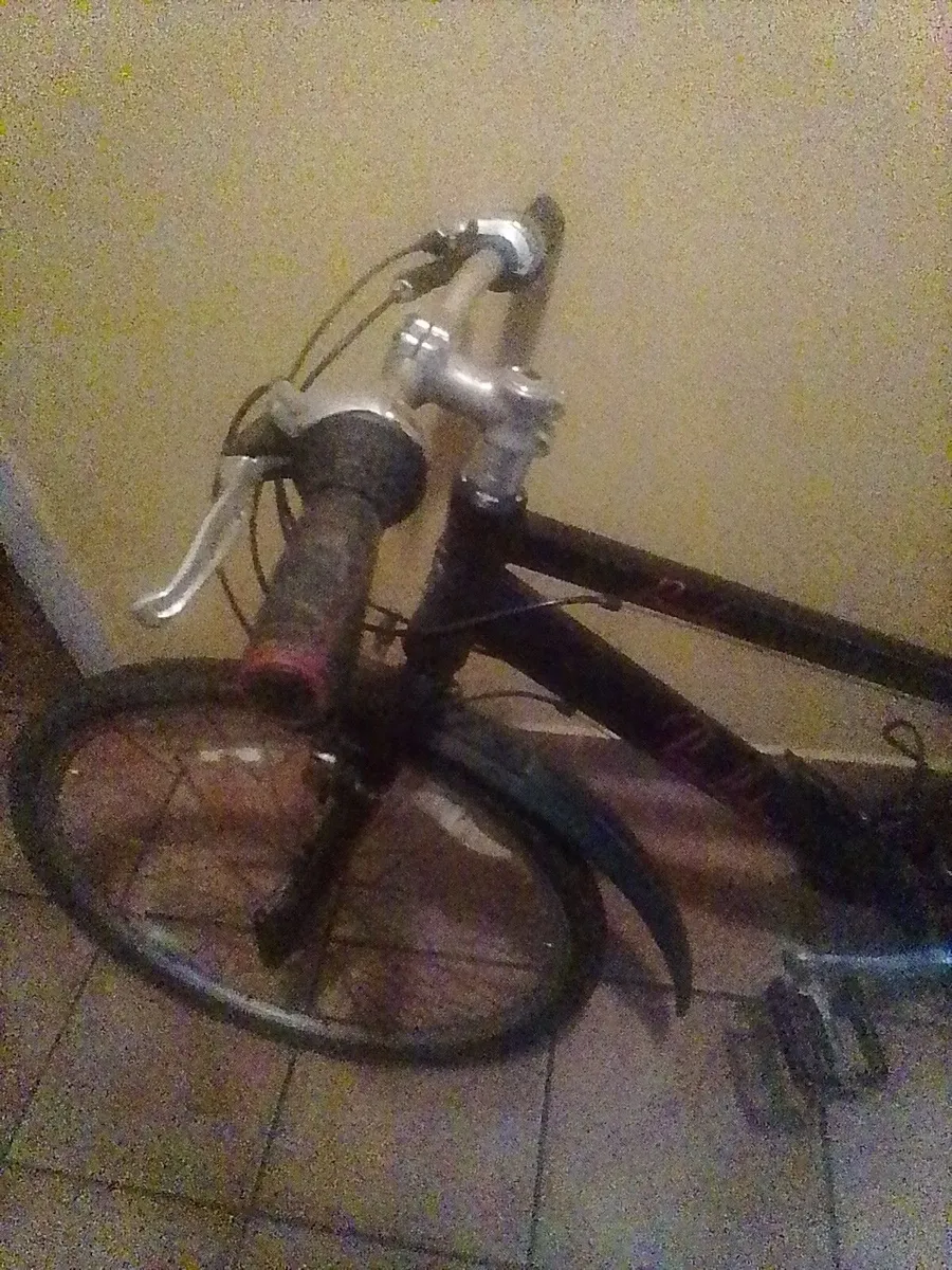 FREE Bike Brooke Pendleton - Image 3