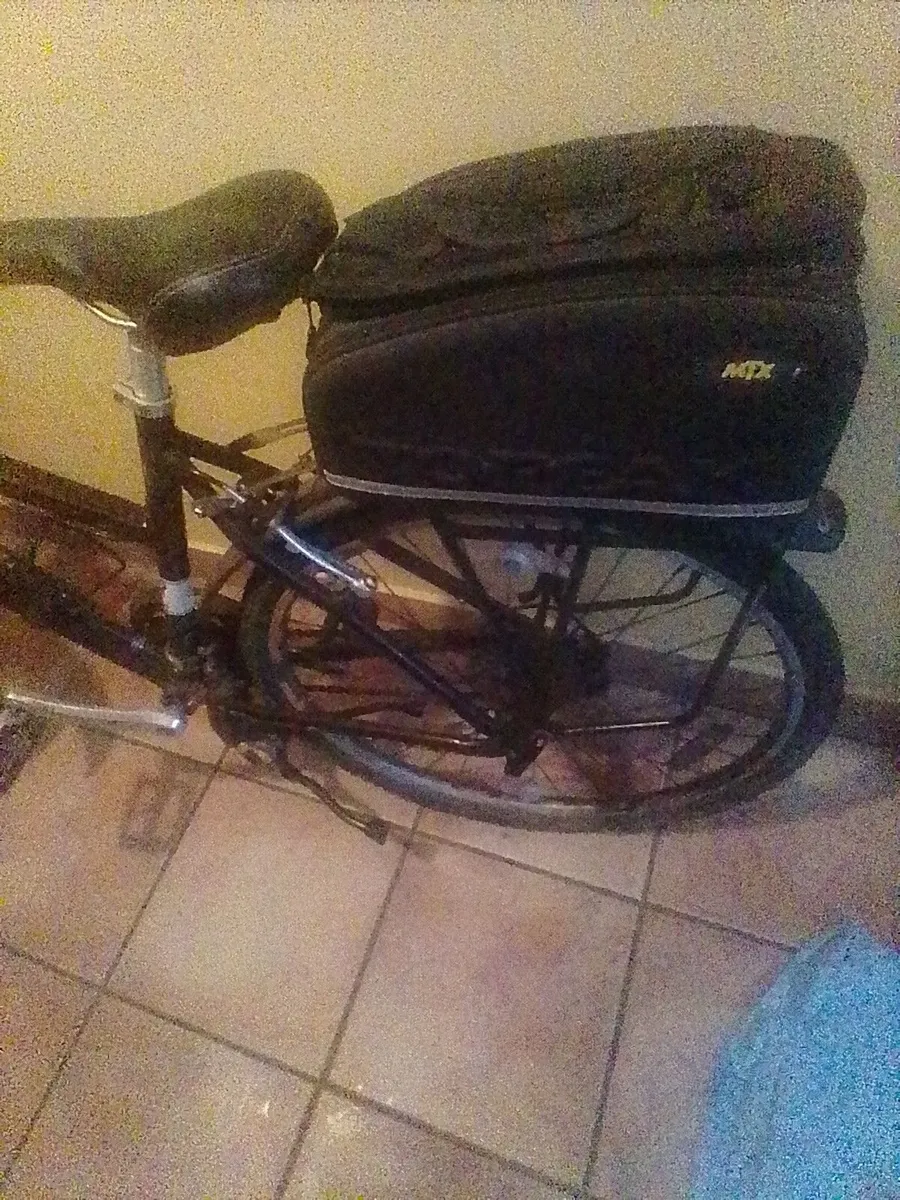 FREE Bike Brooke Pendleton - Image 4