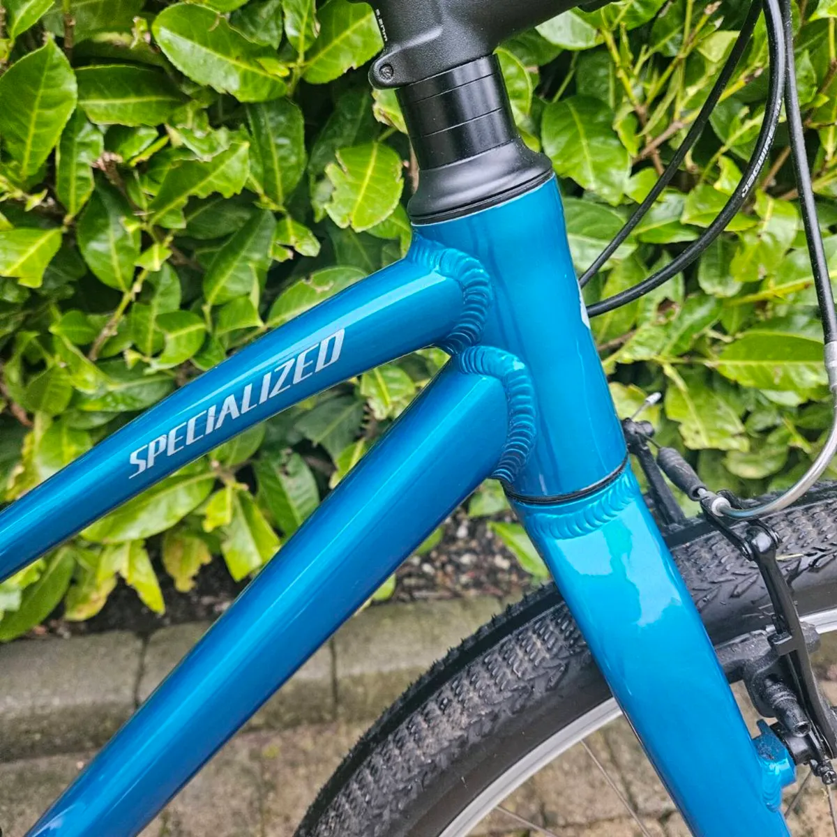 Specialized Jett 24 Kids Bike - Gloss Teal - Image 3