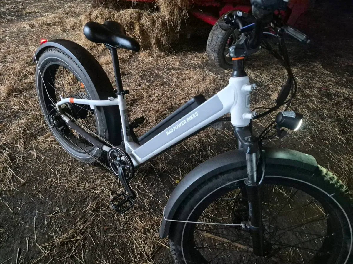 Radrhino electric bike - Image 1