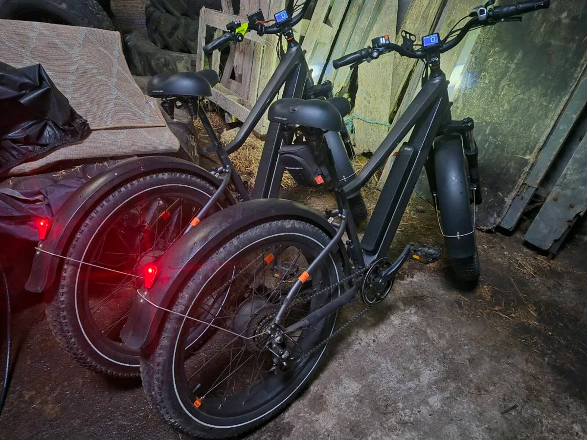 Radrhino electric bike - Image 4