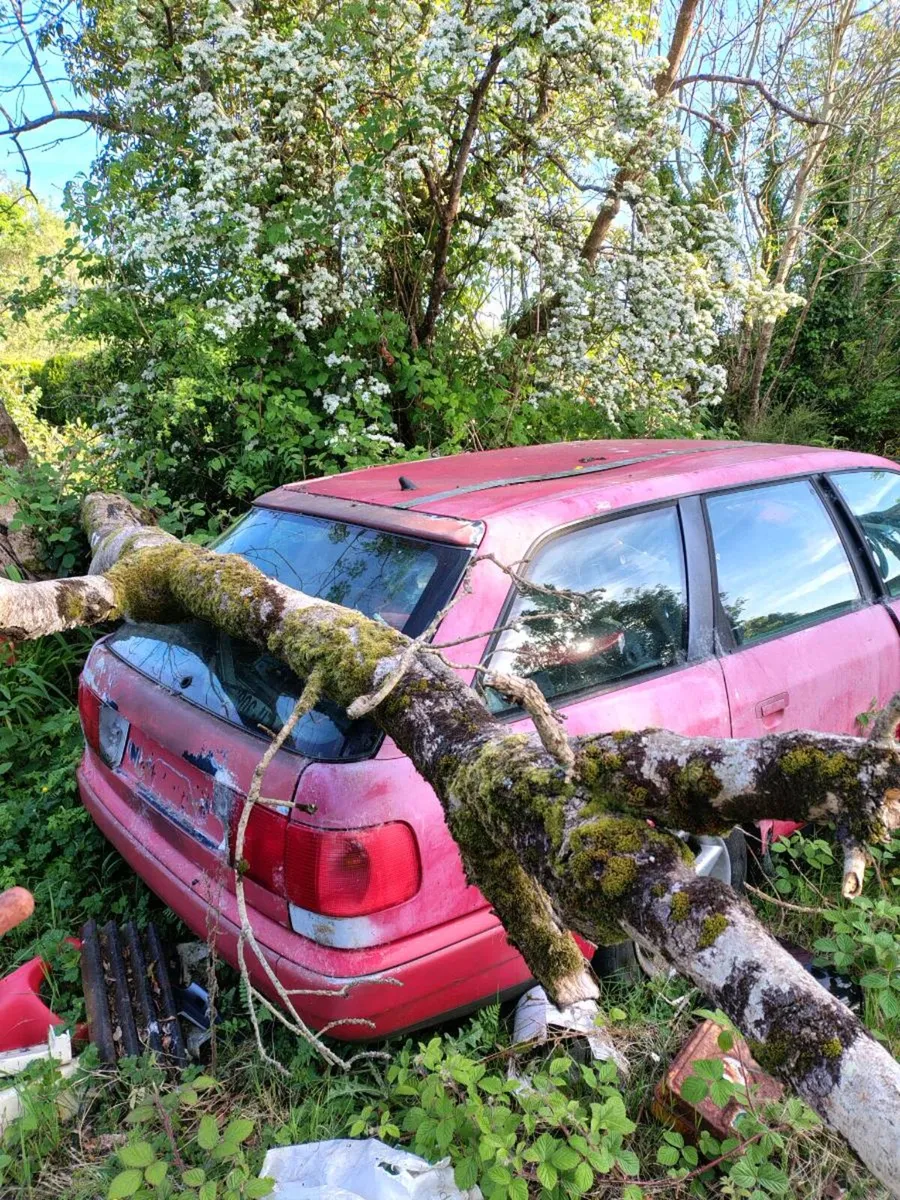 Audi 100 avant - Image 2