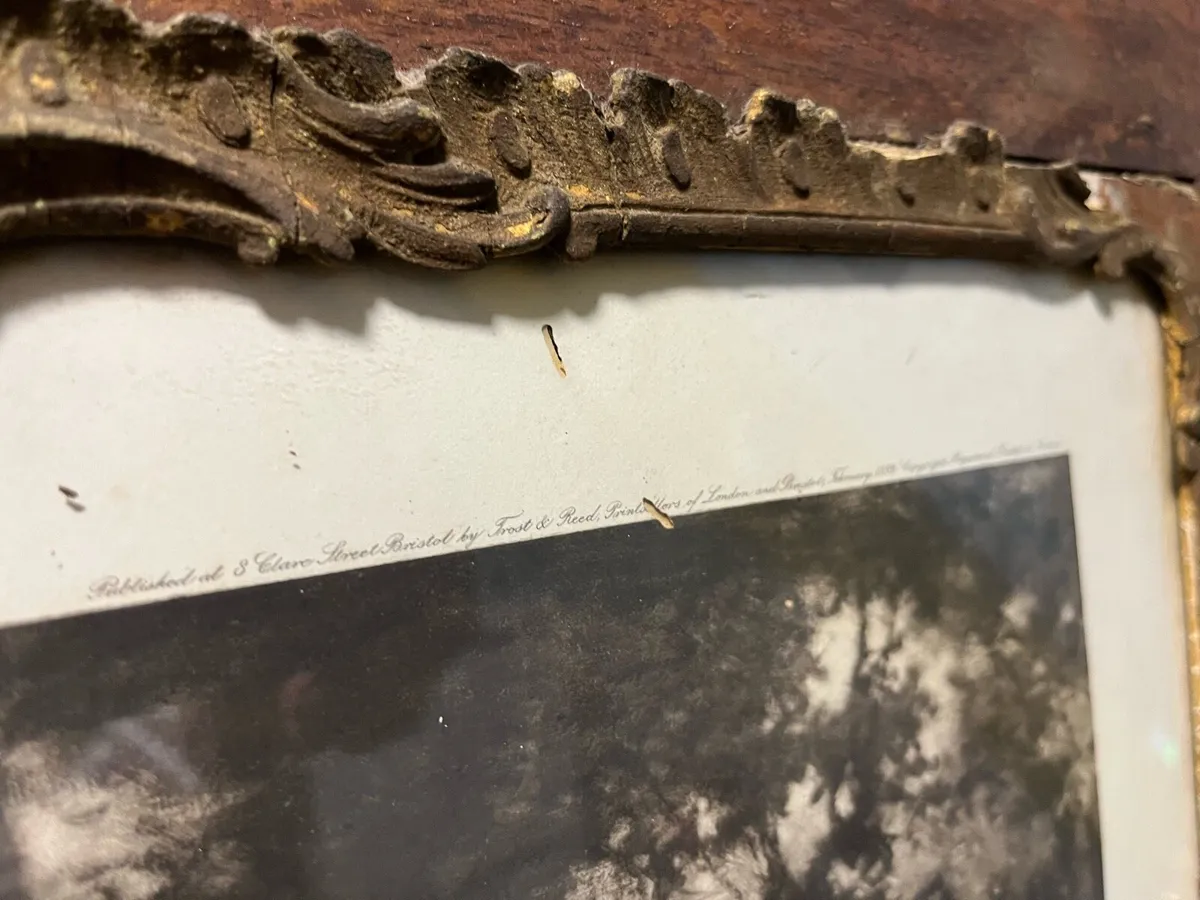 Vintage picture - Image 3