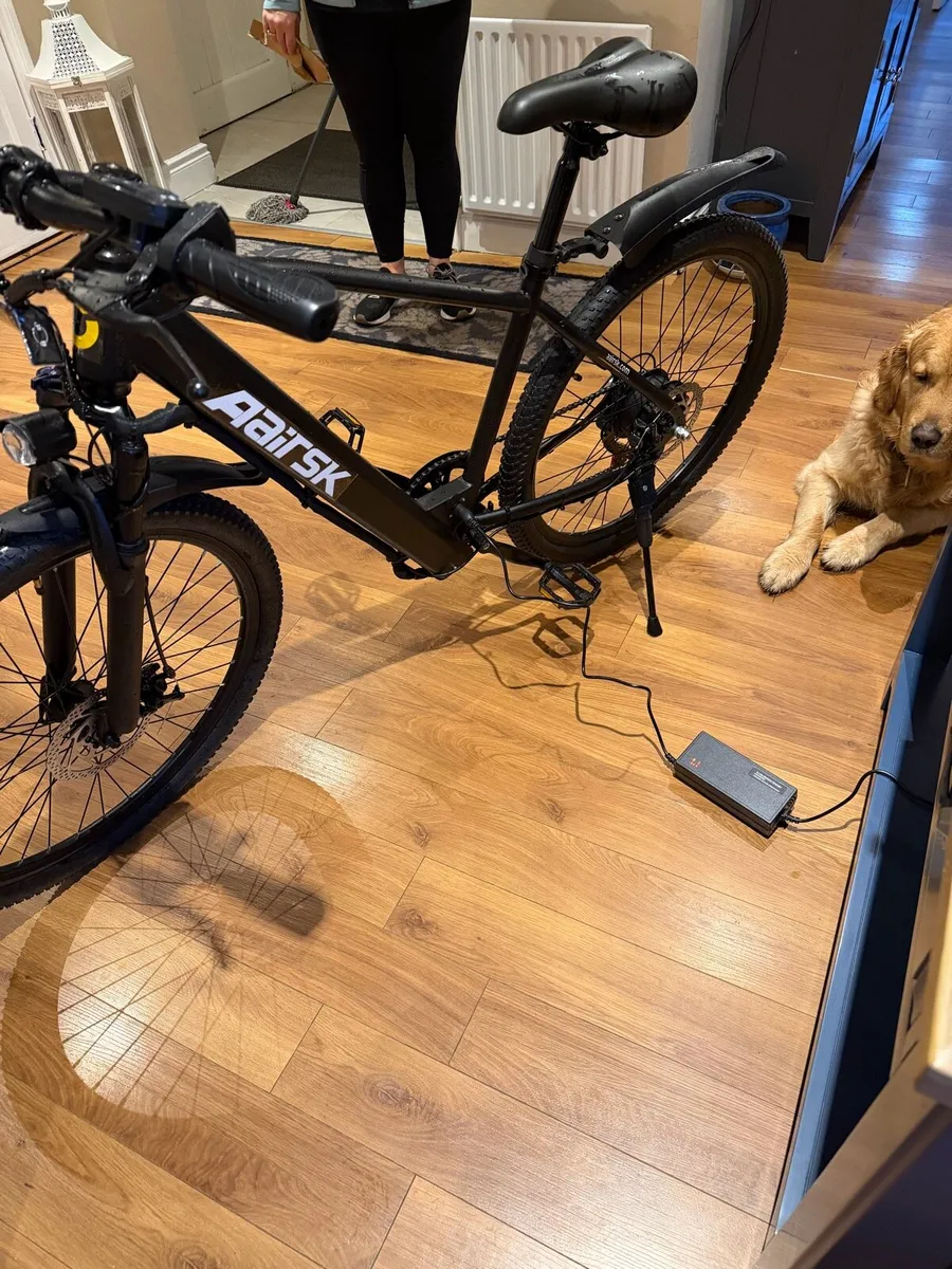 Aairsk GT300 Electric Bicycle - Image 3