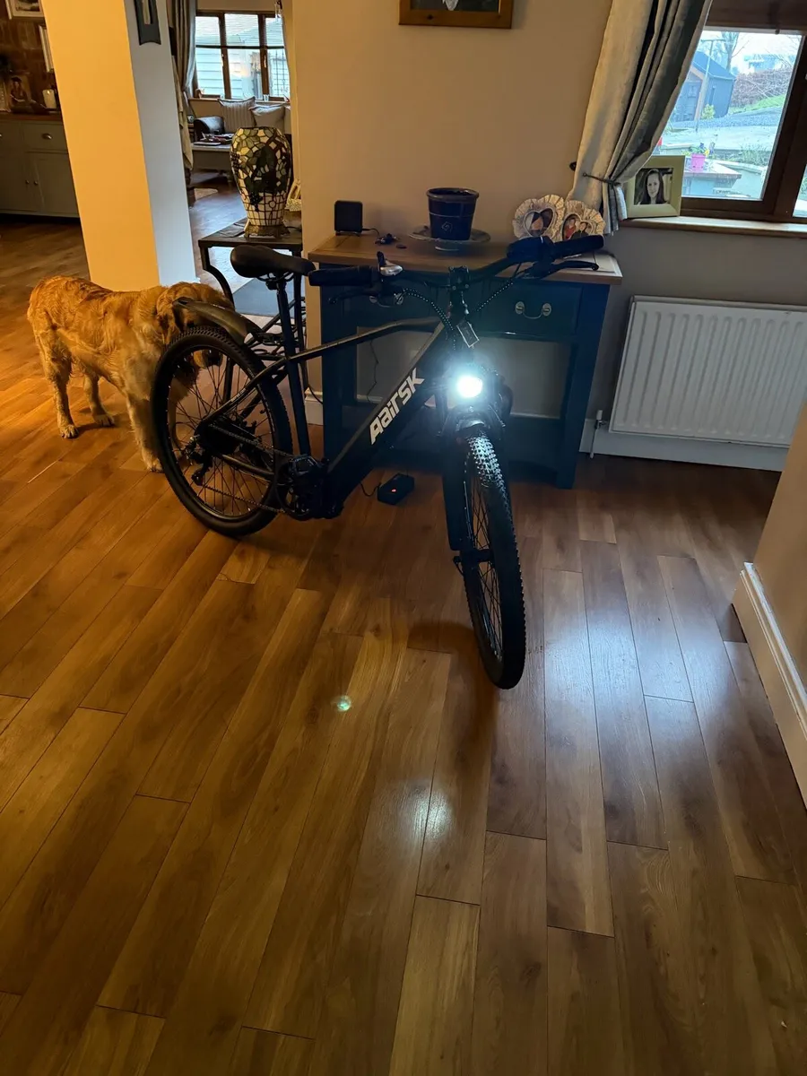 Aairsk GT300 Electric Bicycle - Image 1