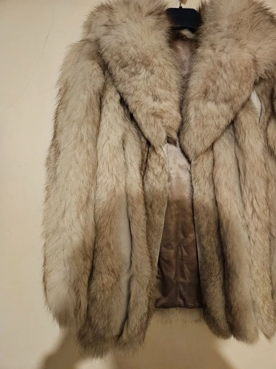 Vintage Fur Coat - Image 2