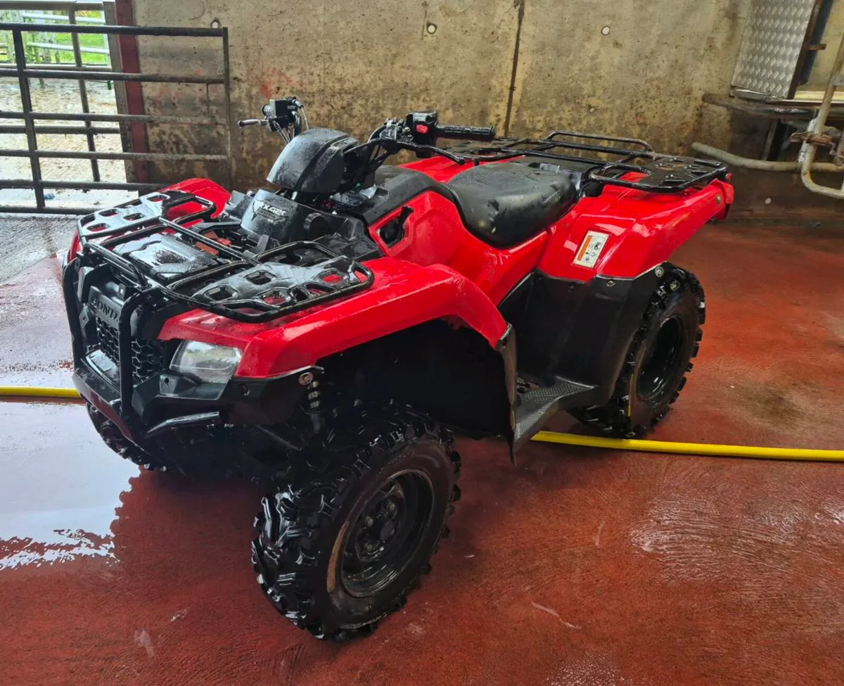 2021 Honda 420 - Image 2