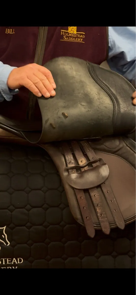 BERNEY 17” SQUARE BACK JUMP gp €499 - Image 2