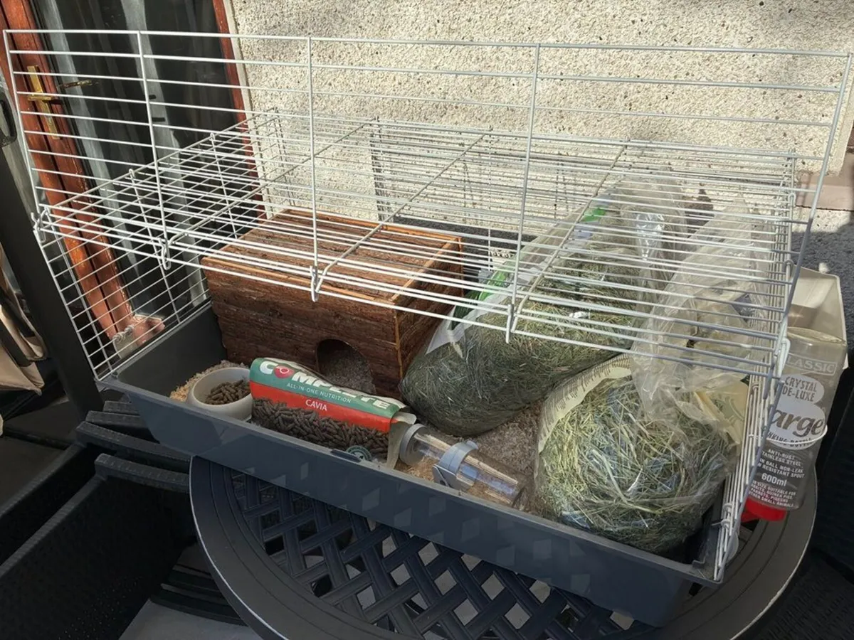 Guinea Pig or Rabbit Cage for Sale - Image 3