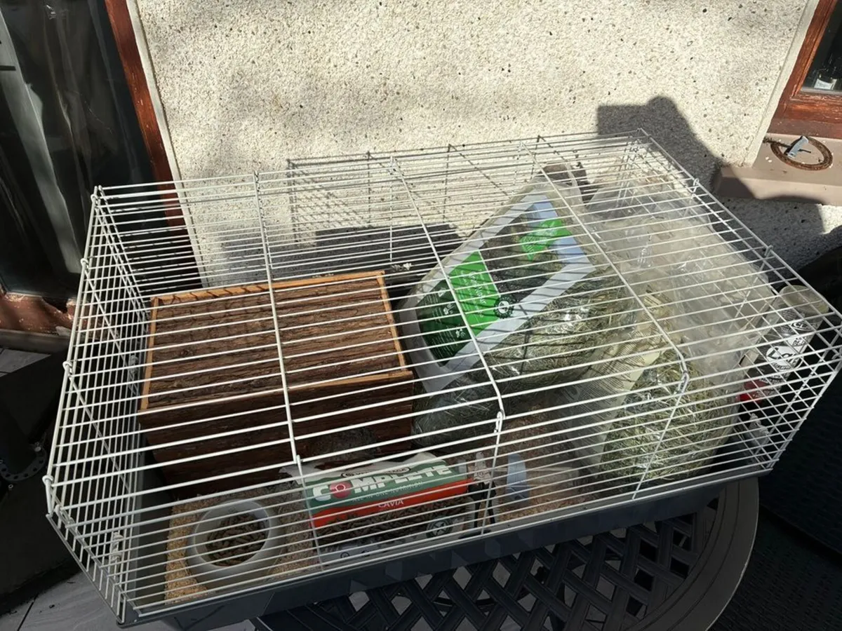 Guinea Pig or Rabbit Cage for Sale - Image 2