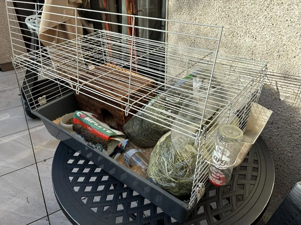 Guinea Pig or Rabbit Cage for Sale - Image 4