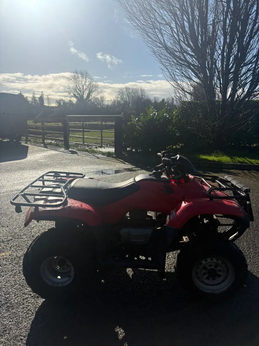 Honda TRX 250 - Image 4