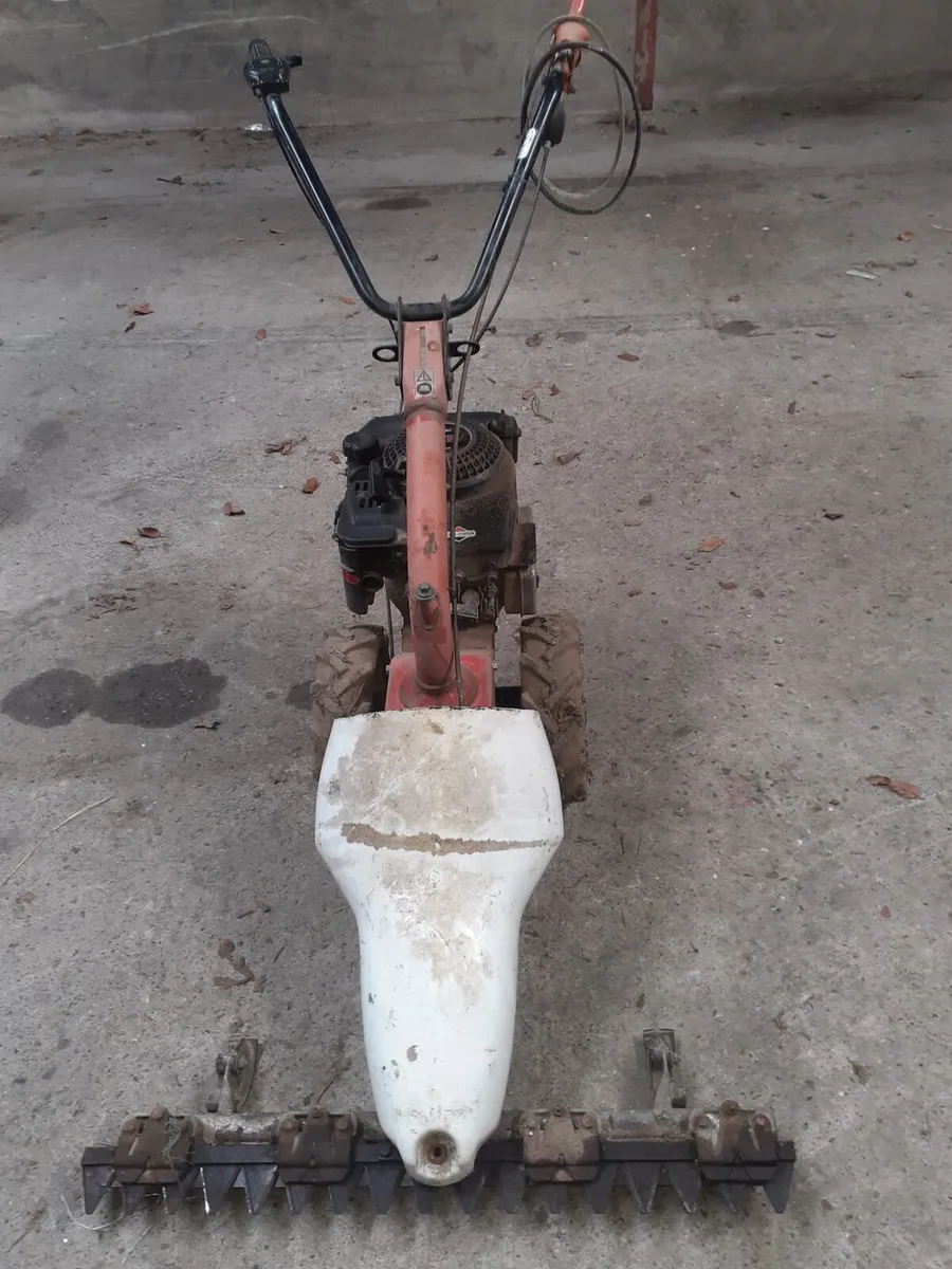 MOWER/ROTOVATOR - Image 4