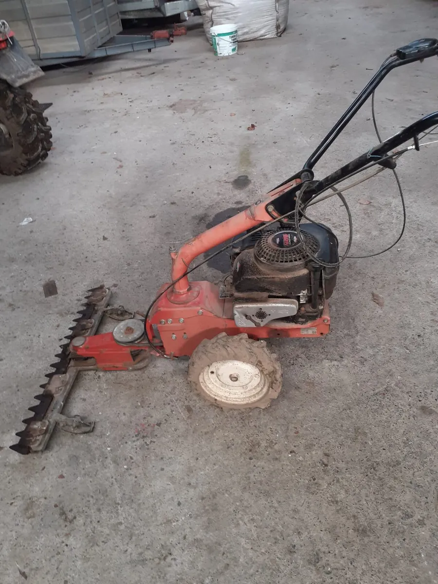 MOWER/ROTOVATOR - Image 1