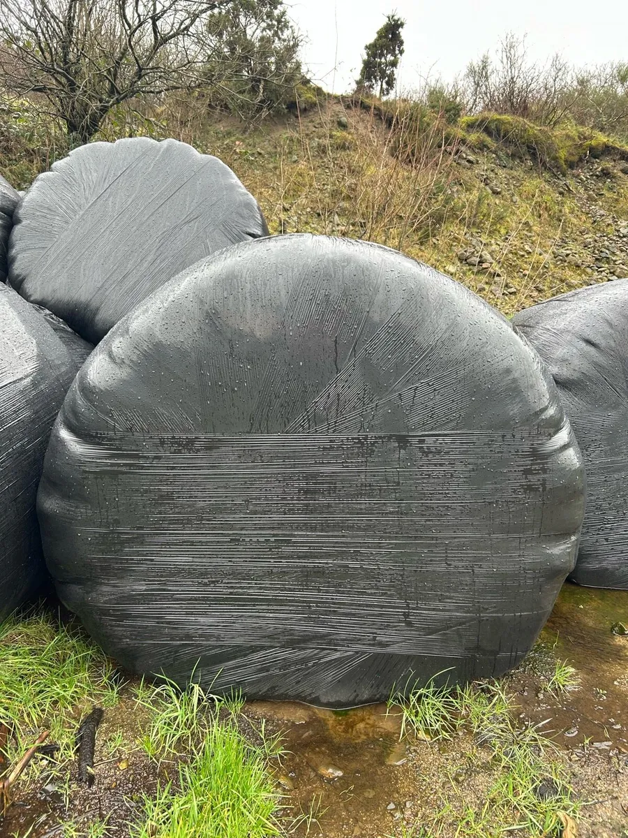 Silage bales