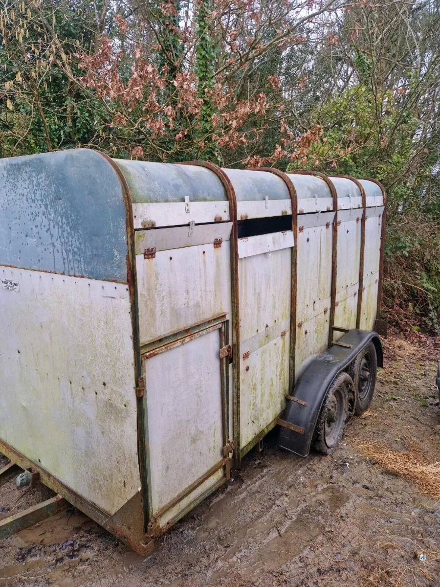 Cattle box - Image 3