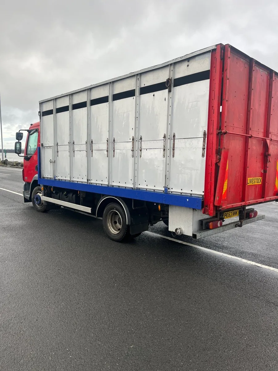 Daf LF 45 140 7.5 ton cattle lorry - Image 3