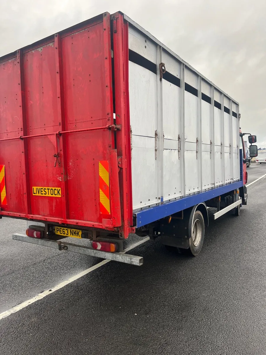 Daf LF 45 140 7.5 ton cattle lorry - Image 4