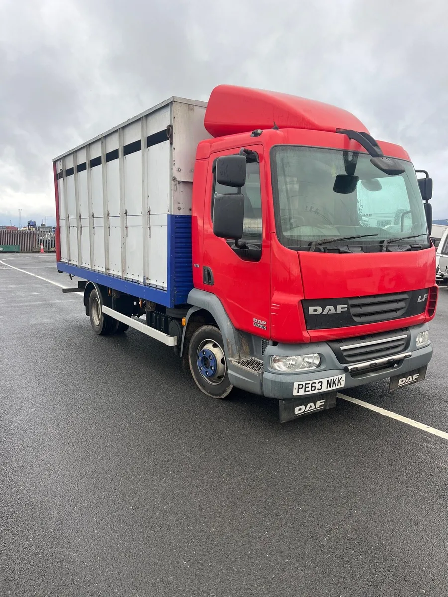 Daf LF 45 140 7.5 ton cattle lorry - Image 2
