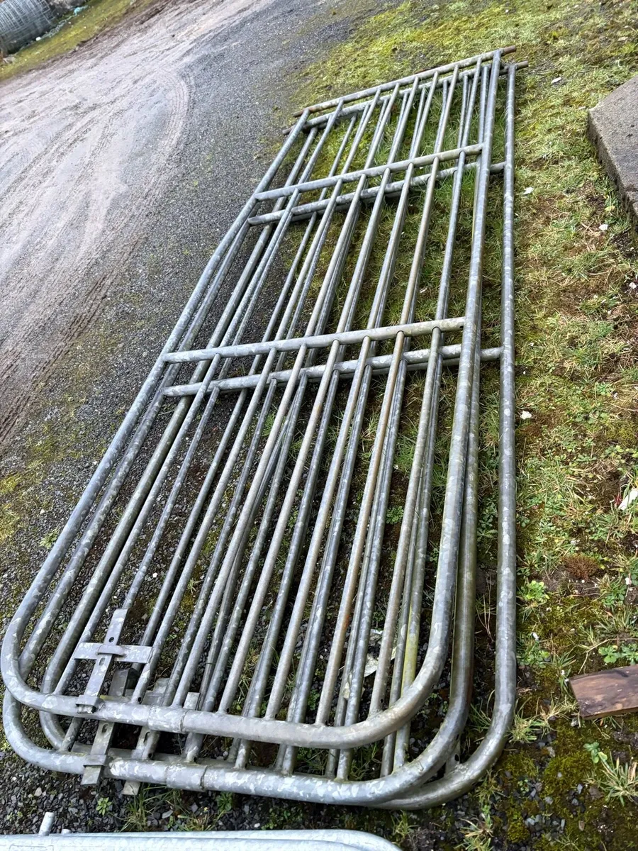 Gates and Posts for Sale - Image 2