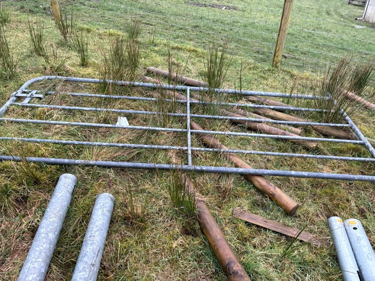 Gates and Posts for Sale - Image 4