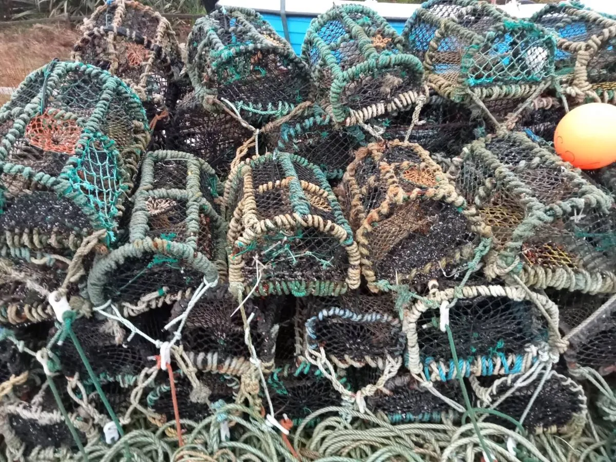 Lobster pots - Image 2