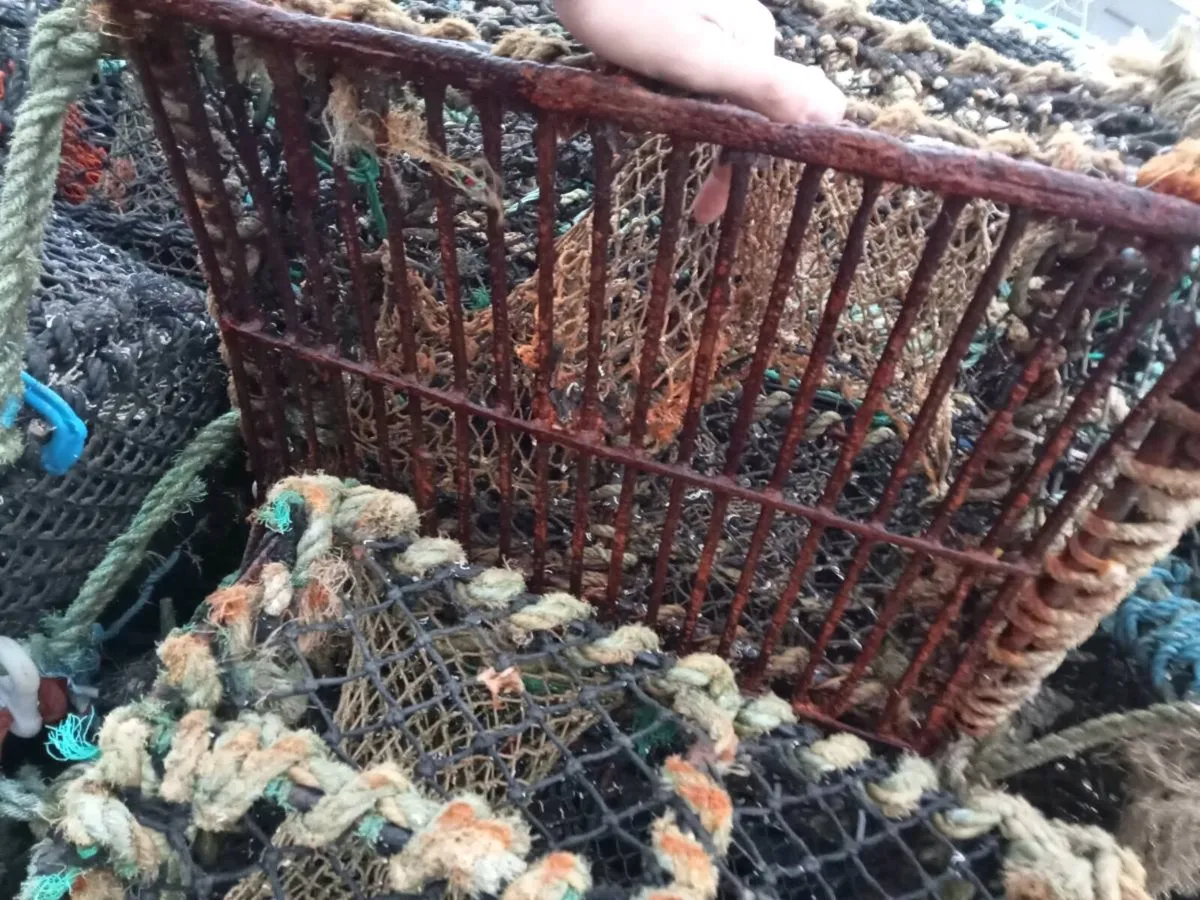 Lobster pots - Image 3