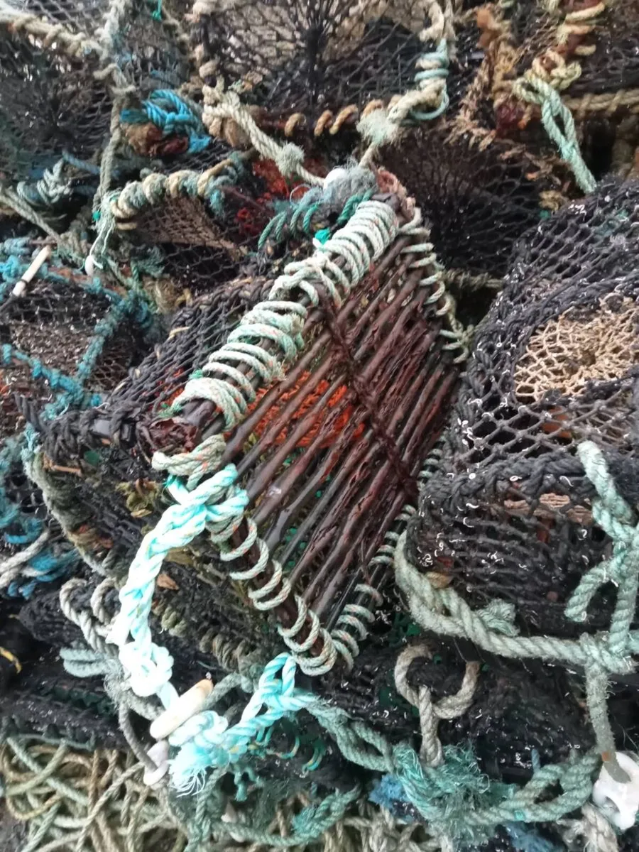 Lobster pots - Image 4