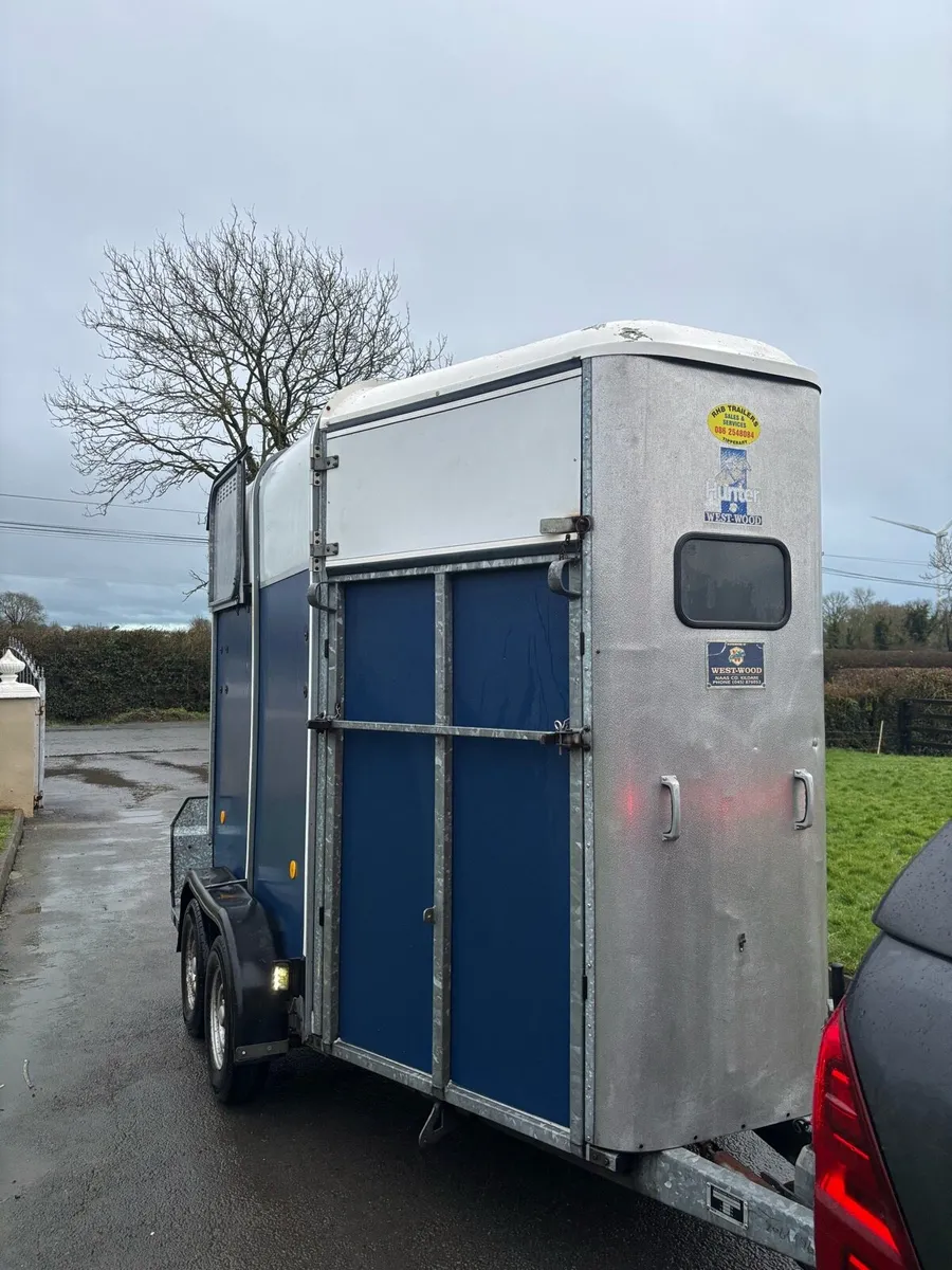 Iforwilliams HB505 - Image 1