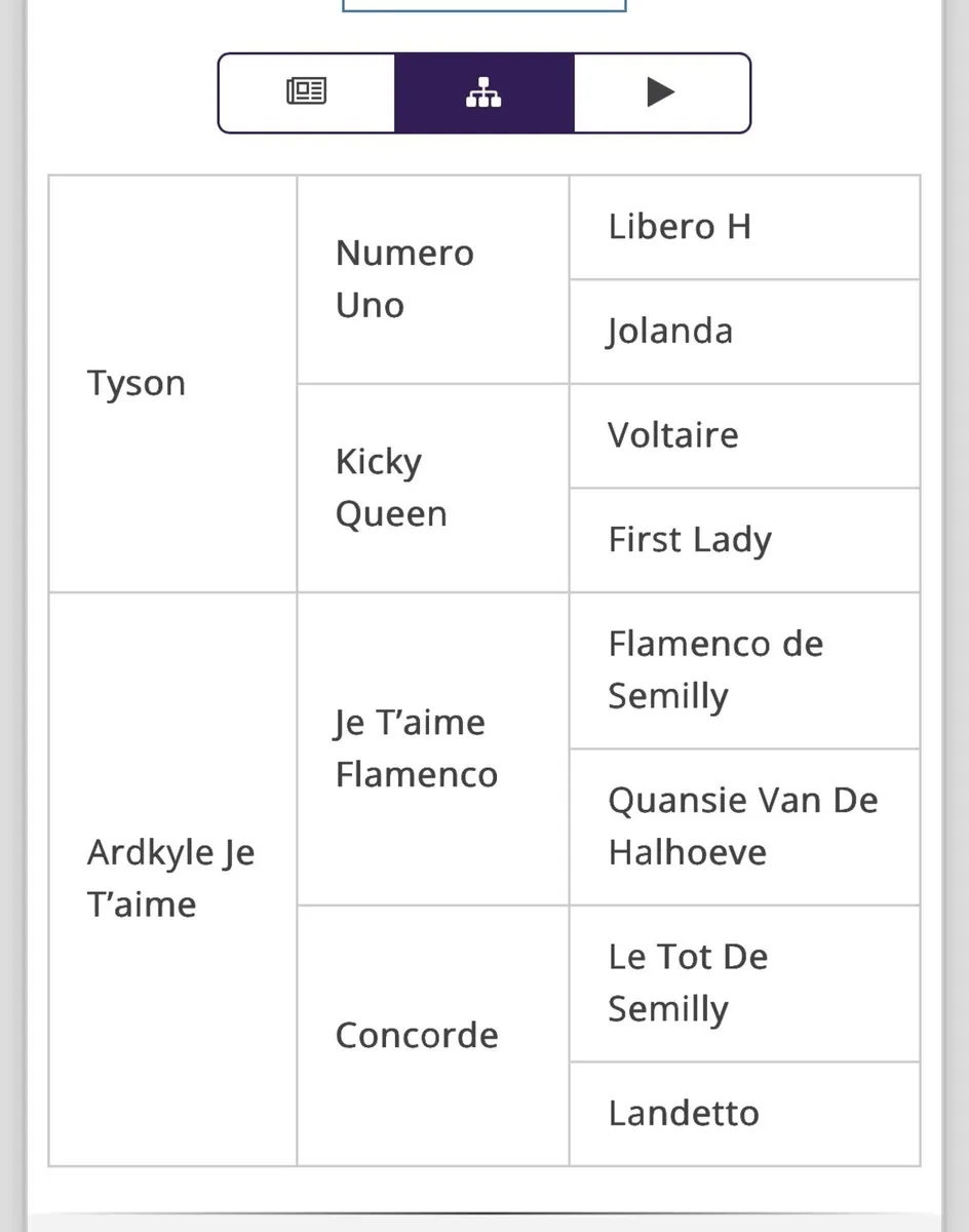 Stunning 2 yr old filly by Tyson - Image 4