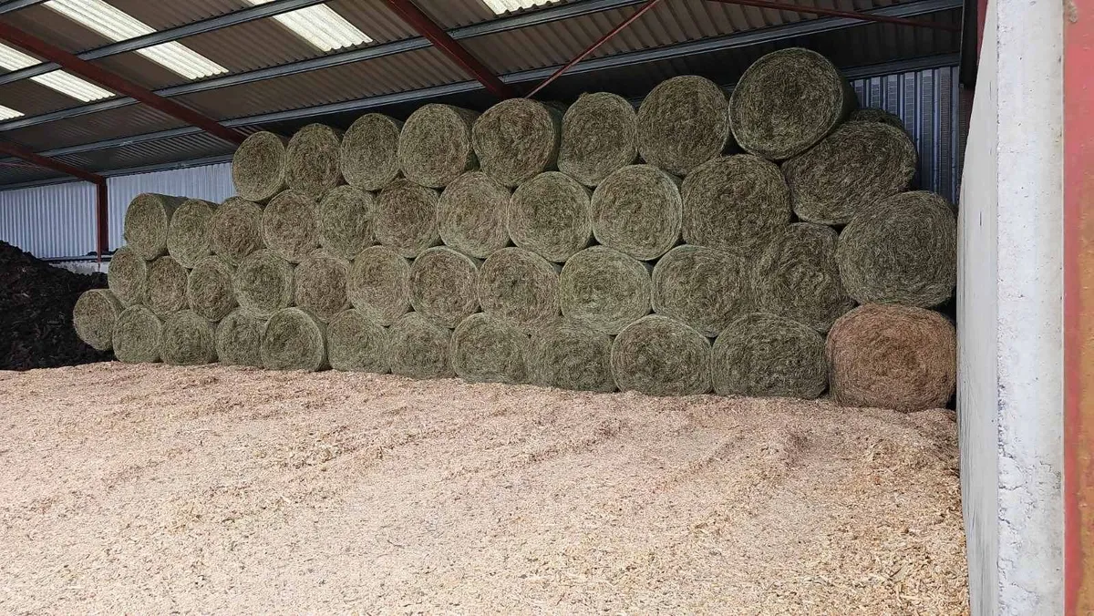Organic hay