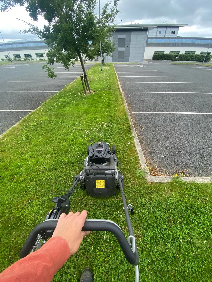 Peter Alankiewicz Gardening Services - Image 3