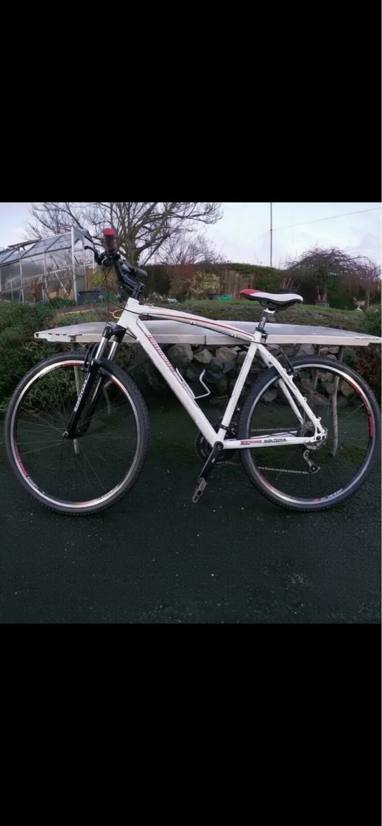 Lombardo Matera cross bike - Image 2