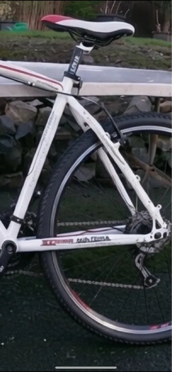 Lombardo Matera cross bike - Image 3