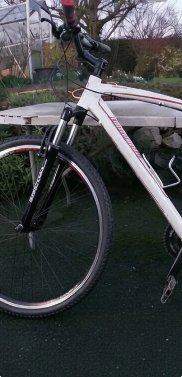 Lombardo Matera cross bike - Image 4