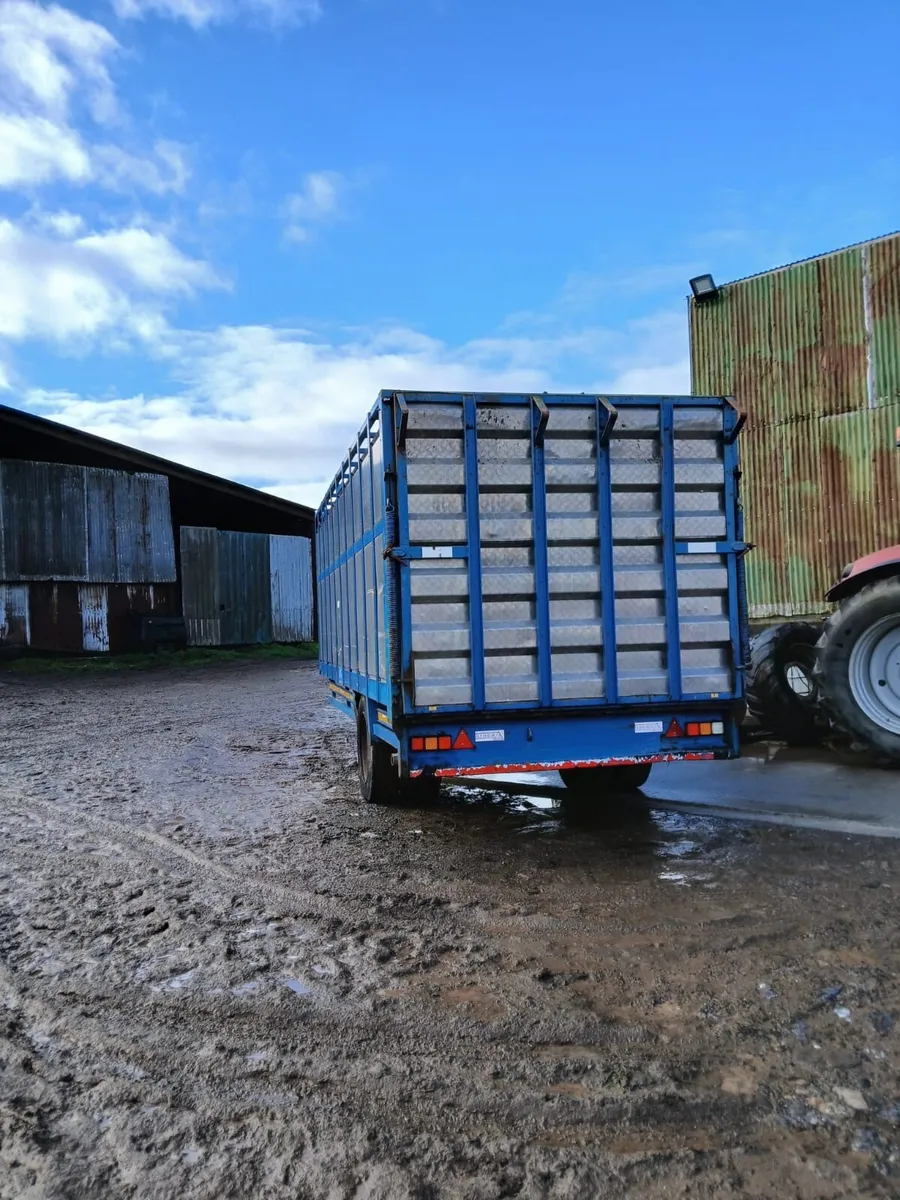 20 ft lunch cattle trailer - Image 2